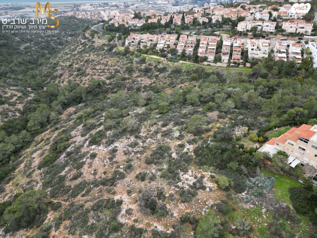 מגרשים, רמת בגין, חיפה