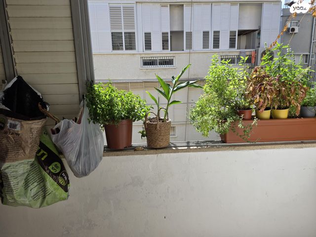 דירה, שדרות בן גוריון, הצפון הישן - צפון, תל אביב יפו