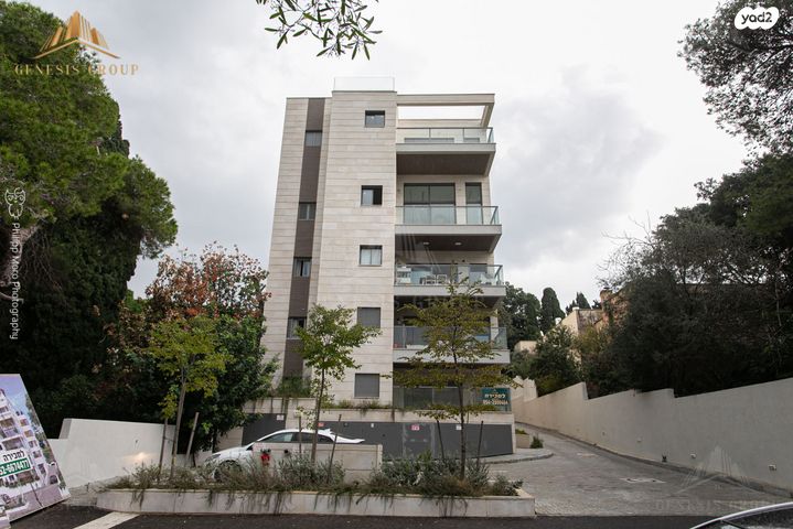 דירה, הורדים, חיפה