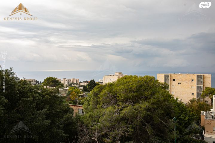 דירה, הורדים, חיפה