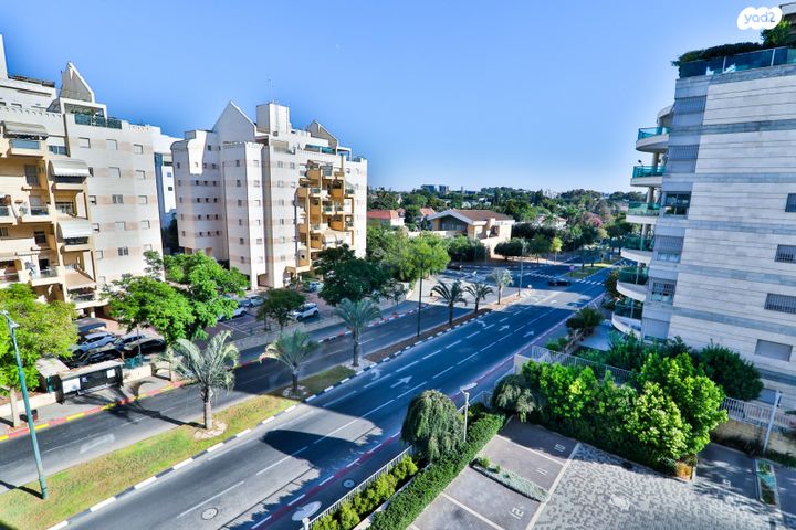 דירה, ארגמן, נס ציונה