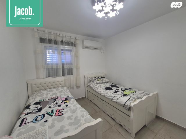 דירה, כלניות, טירת כרמל