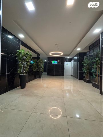 דירה, כוכב הצפון, אשקלון