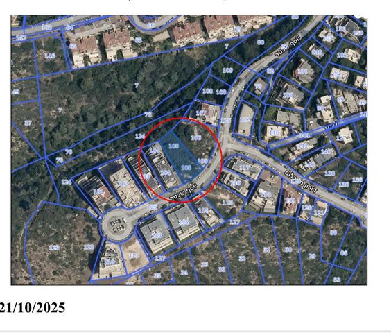 יוסף שכטר 28