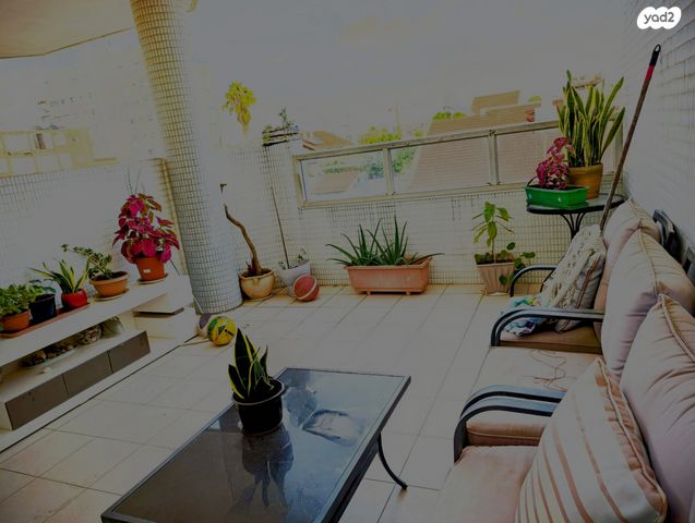 דירה, רחובות