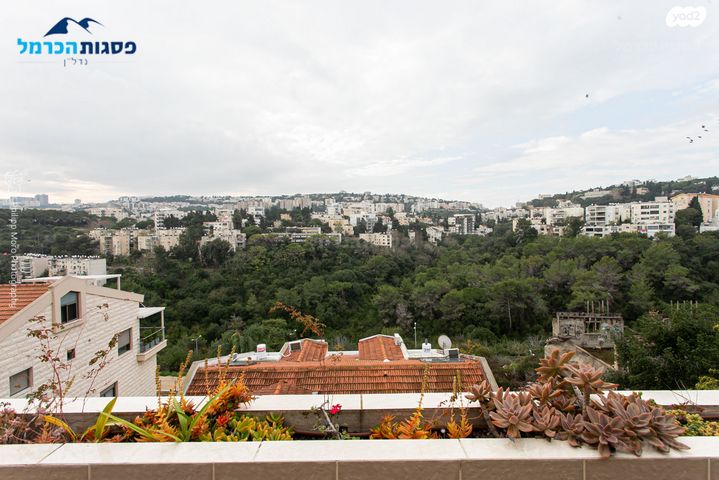 גג/ פנטהאוז, נורית, ורדיה, חיפה