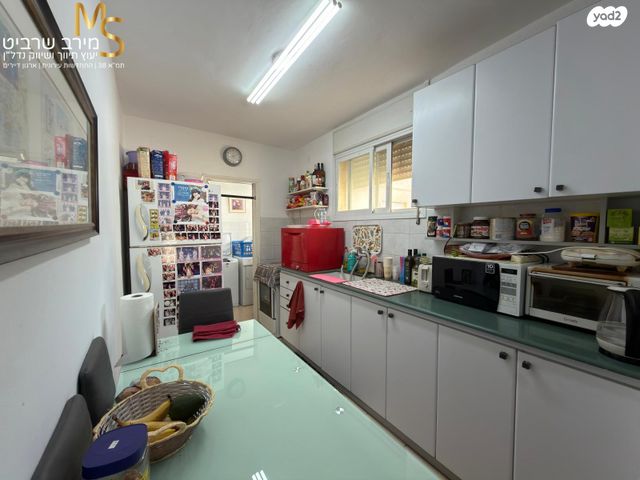 דירה, קרן היסוד, רוממה, חיפה