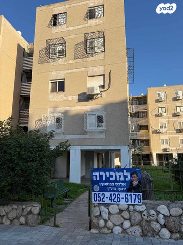 שבטי ישראל 29