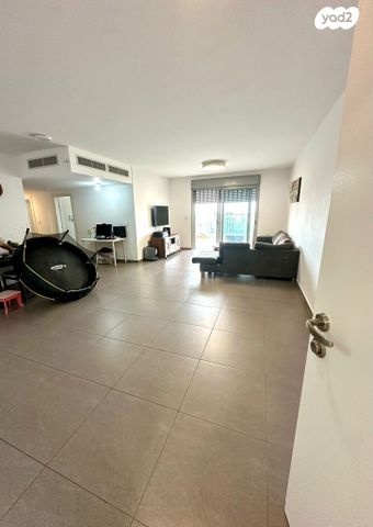 דירה, העגור, החותרים, טירת כרמל