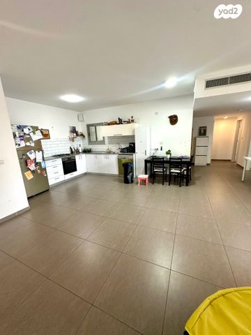 דירה, העגור, החותרים, טירת כרמל