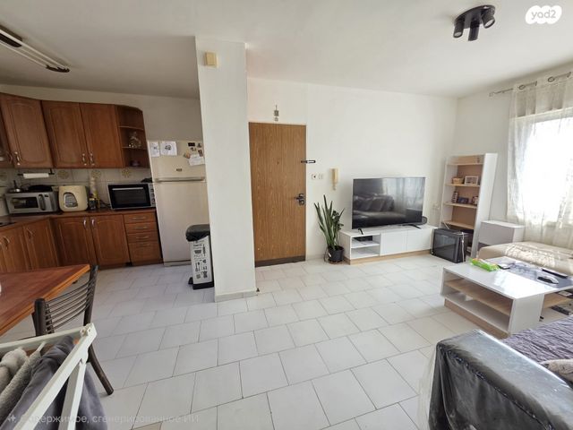 דירה, חלמיש, ערד