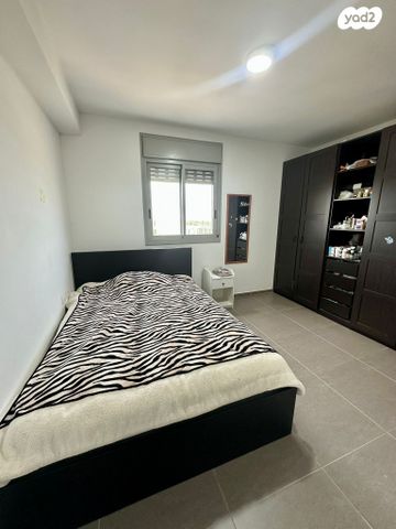 דירה, העגור, החותרים, טירת כרמל