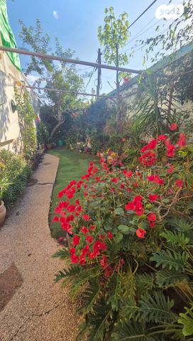 דירת גן, שלום פינקלשטיין, סלע, רחובות