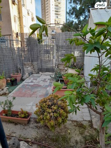 דירת גן, הכותל המערבי, שכונה א', באר שבע