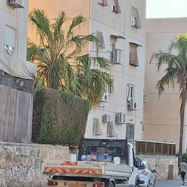 דירה, אקסודוס 4, ההעפלה, קרית גת