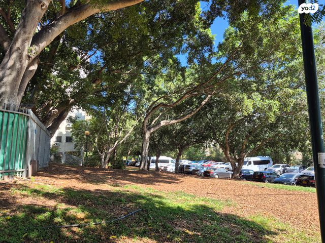 דירה, מרכז, כפר סבא