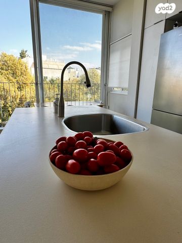 דירה, הצפון הישן - דרום, תל אביב יפו