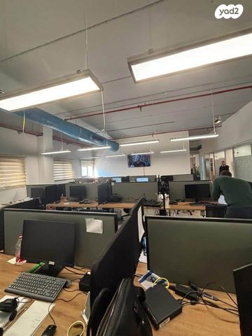 משרדים, בונה אליעזר, חיפה