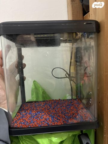 תמונת מודעה - חיות מחמד