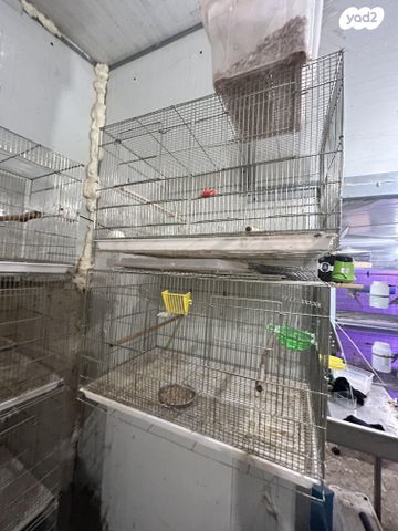 תמונת מודעה - חיות מחמד