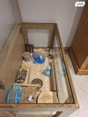 תמונת מודעה - חיות מחמד