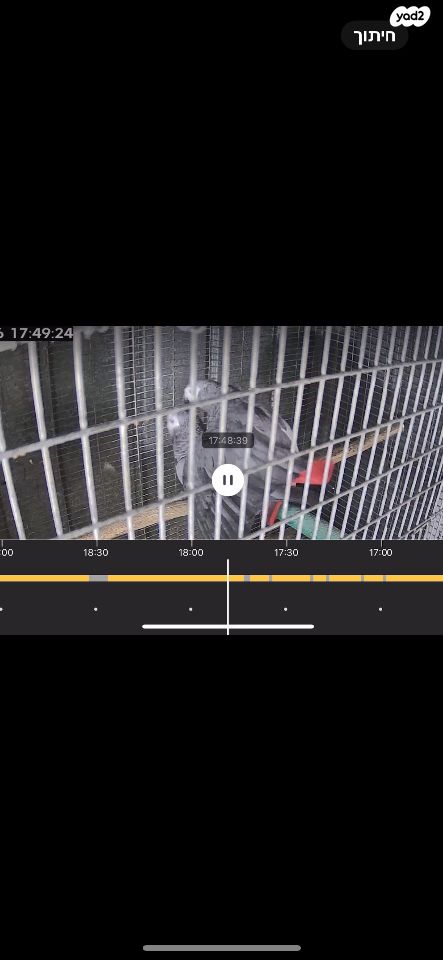 תמונת מודעה - חיות מחמד