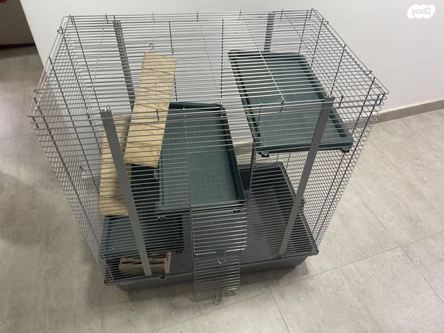 תמונת מודעה - חיות מחמד