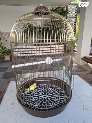 תמונת מודעה - חיות מחמד