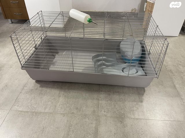 מכרסם ארנב \ שפן