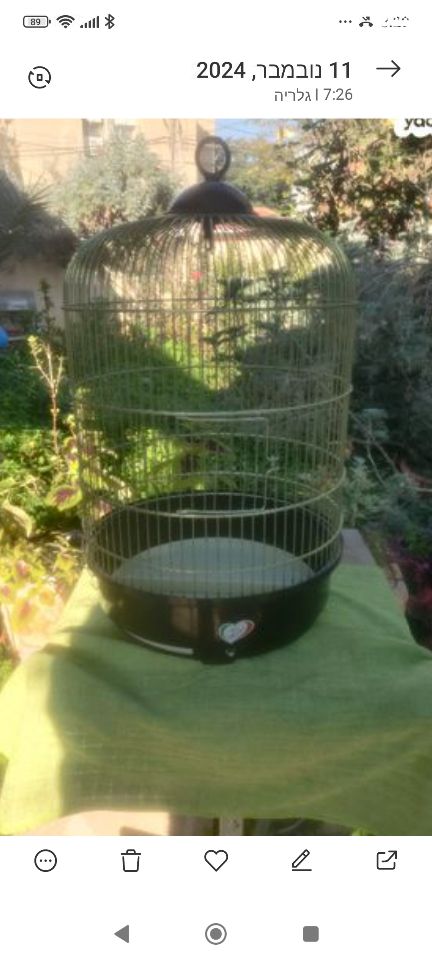 אביזרים | כלוב