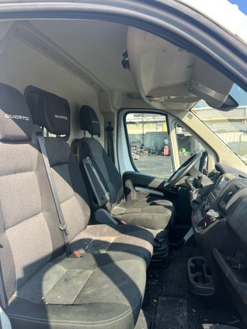 פיאט דוקאטו