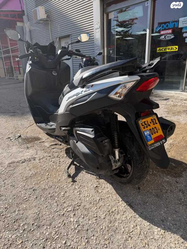 סאן יאנג ג'וי-מקס Z-300