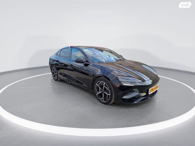 בי.ווי.די דולפין