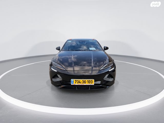 בי.ווי.די דולפין