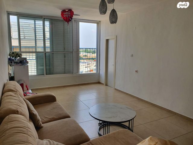 דוד כוכבי 24