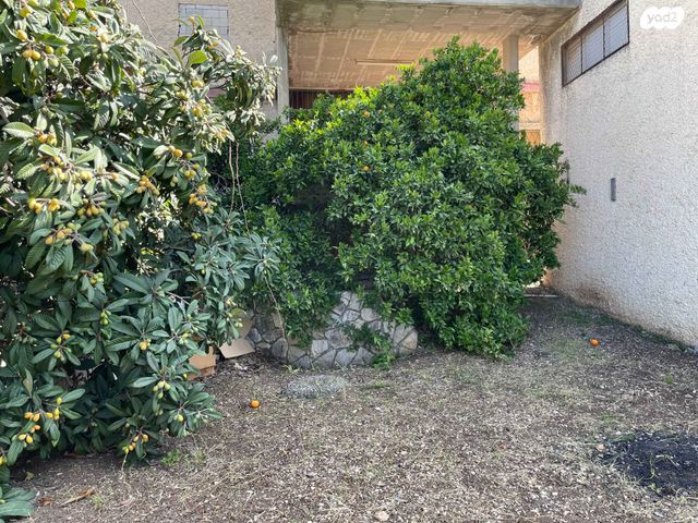 מגרשים, 208 21, יפיע, יפיע