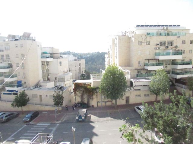 נתיבות המשפט 97