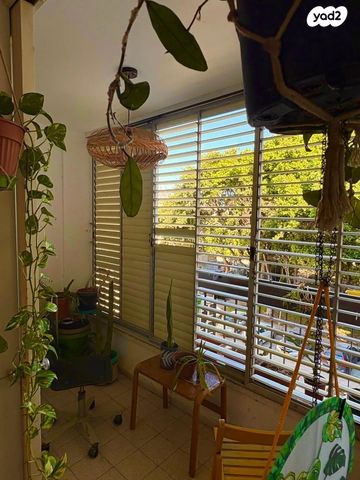 כוכבי יצחק 3