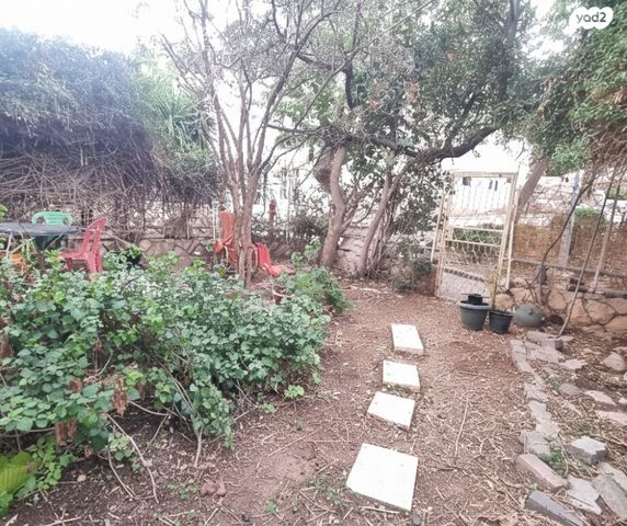 דירת גן, הנבל 13, כלי שיר, מעלה אדומים