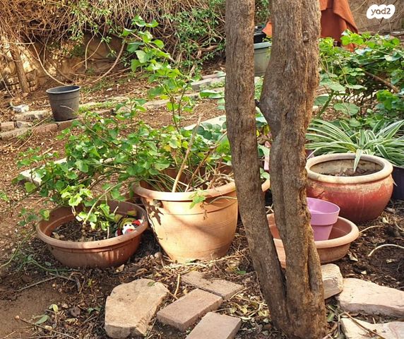 דירת גן, הנבל 13, כלי שיר, מעלה אדומים