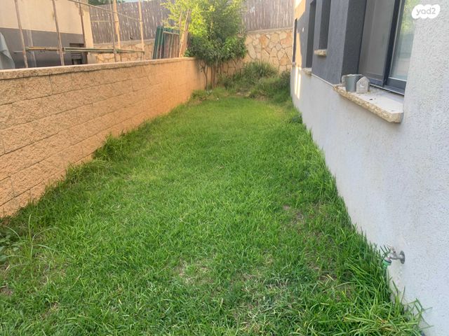 דו משפחתי, תאנה 16, לשם, עלי זהב