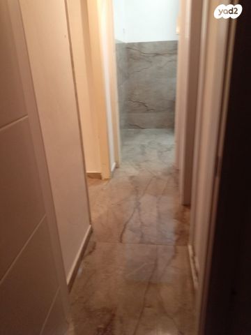 טרומפלדור 31