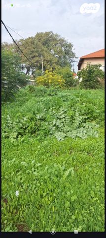 בית פרטי/ קוטג', יצחק שדה 9, מרכז עפולה עלית, עפולה