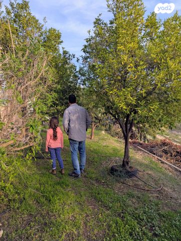 בית פרטי/ קוטג', הדס 5, שורשים, שורשים