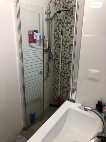 צבי הרמן שפירא 1