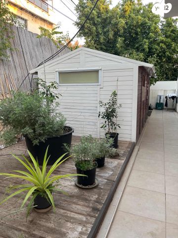 פנחס רוזן 36