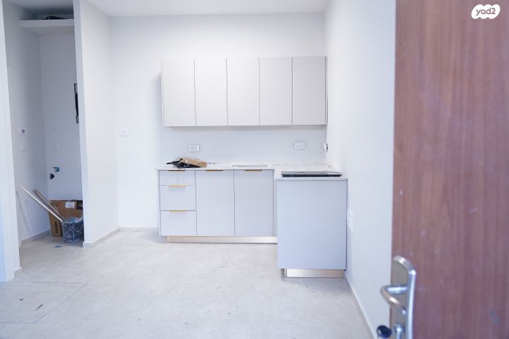 יחזקאל הנביא 8