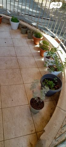 בית פרטי/ קוטג', האקליפטוס 1, גת רימון