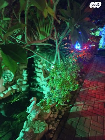 יחידת דיור, משעול רקפת 6, גנים ב', אילת