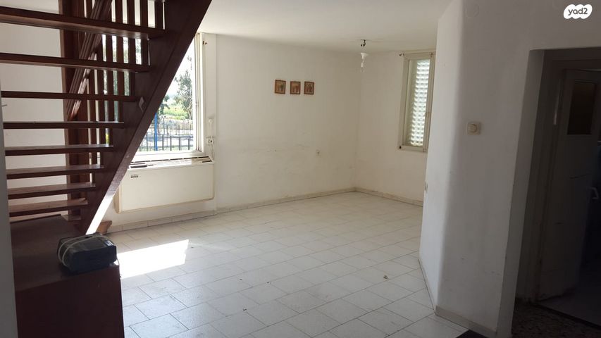 איילת השחר 21